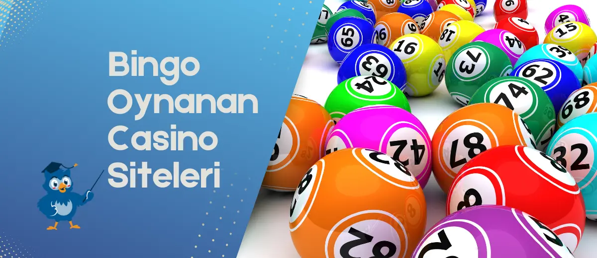 bingo oynanan casino siteleri 2024